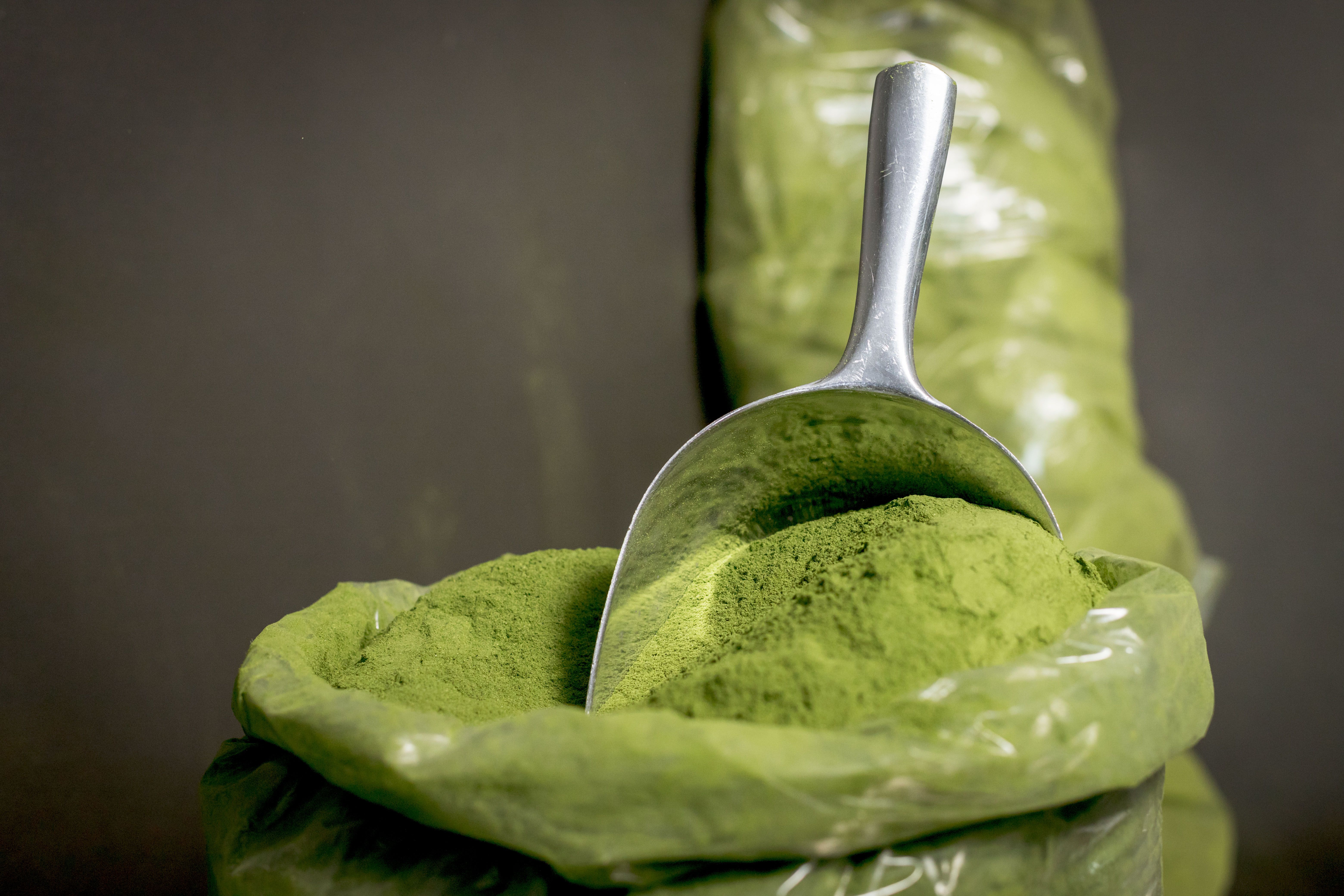 Superfood Powders